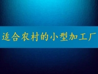 適合農(nóng)村的小型加工廠，月入2萬不算多，你有時(shí)間也能做