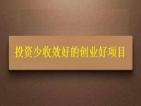 投資不到3萬，1個(gè)人就能干，利潤很高，每天收入能上千，我能做嗎