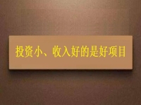 投資這么小，為什么收入?yún)s能這樣好？這個拿回家做的手工項目給出了答案