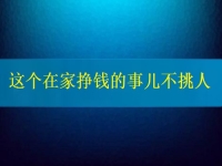 這個(gè)在家掙錢(qián)的事兒不挑人，2024要掙錢(qián)，你我就靠它了