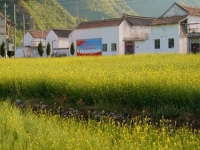 適合農(nóng)村個(gè)人在家創(chuàng)業(yè)的項(xiàng)目，好做的純手工有兩份收入