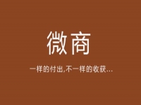 給你一點(diǎn)啟發(fā)，淺談微商的價(jià)值